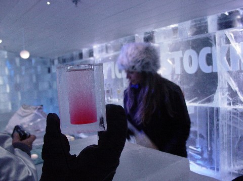 Inside the Ice Bar
